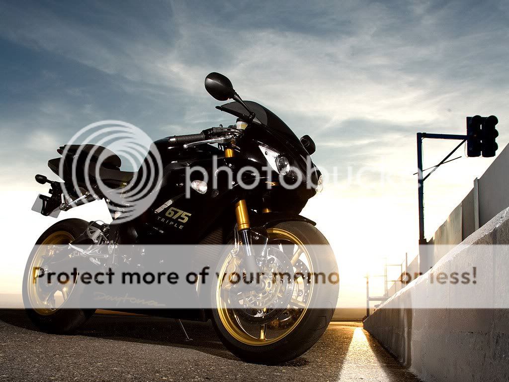 2008-Triumph-Daytona675specialeditionb.jpg