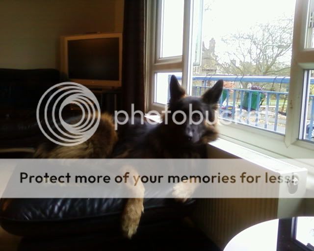 APhoto-0005.jpg?t=1270243878