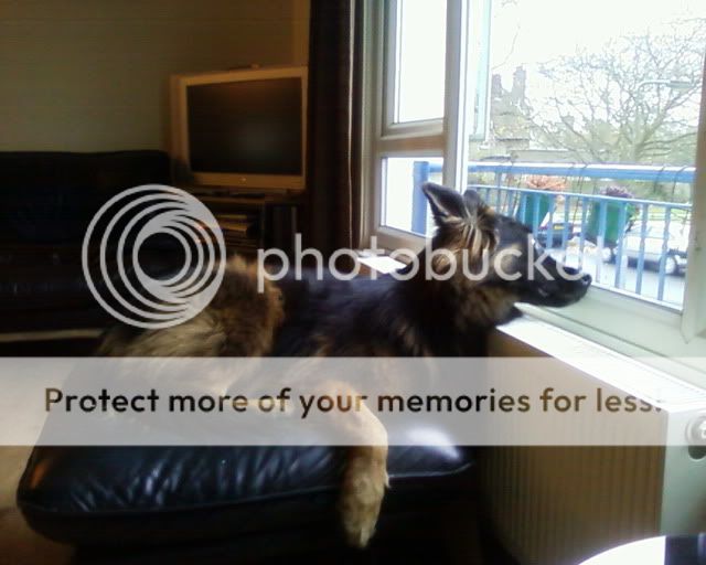 Photo-0006.jpg?t=1270244131