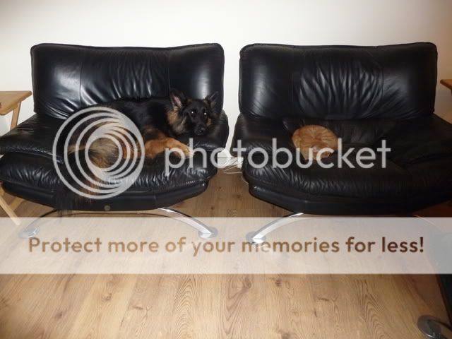 zdjecia005.jpg?t=1270240821