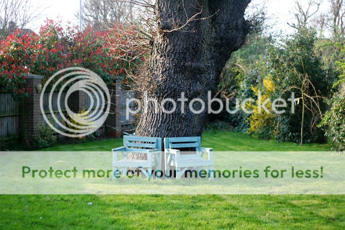 photo IMG_1382.jpg