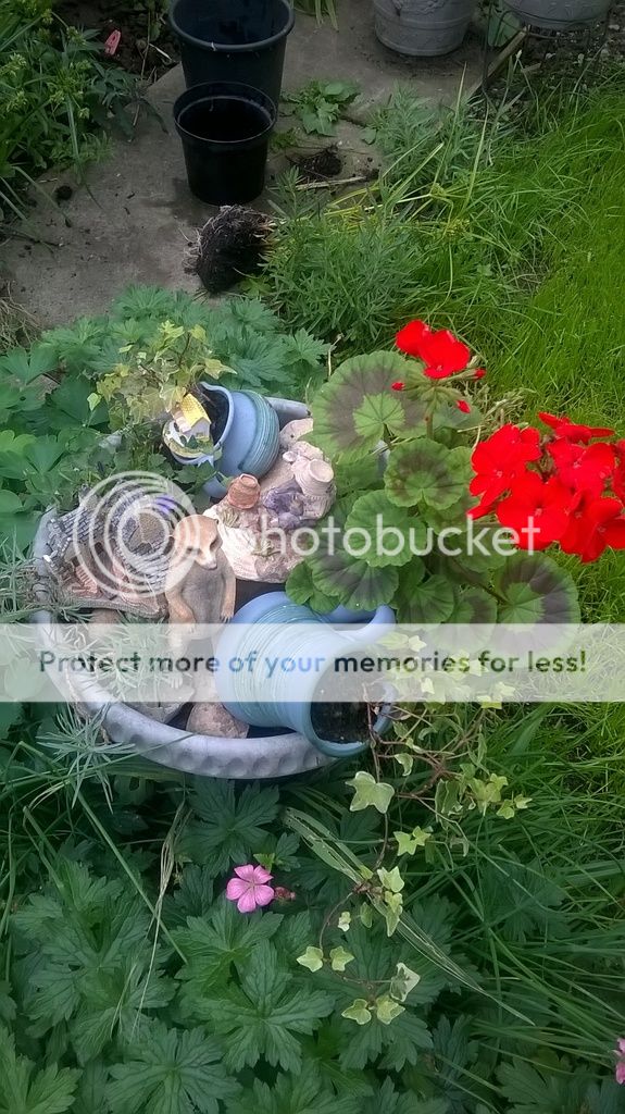 WP_20160904_001%201.jpg