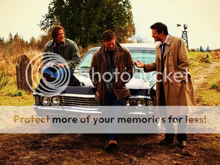  photo 12006194_912506718817268_1559428231362025335_n_zpsitnhdcze.jpg