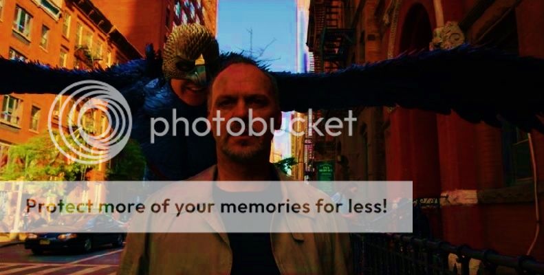  photo birdman195_zpsy8r6ygca.jpg