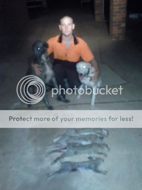 IMG_20120122_004830.jpg