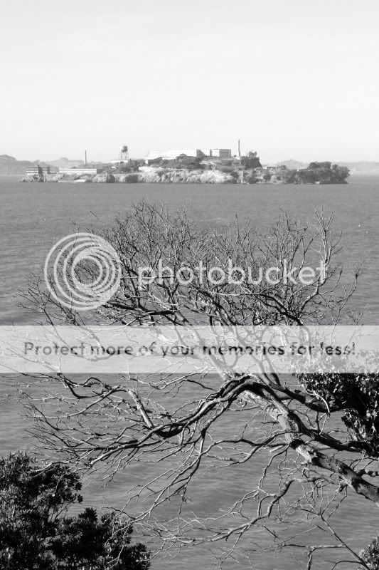 Fotografie