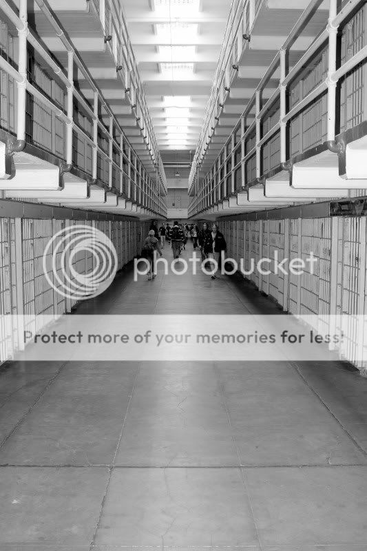 Fotografie