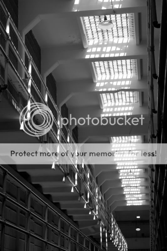 Fotografie