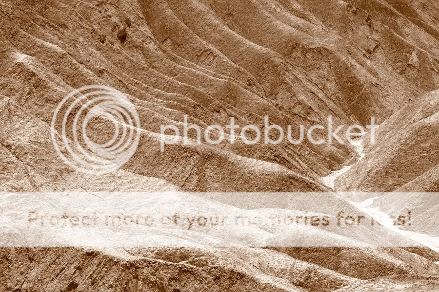 Fotografie