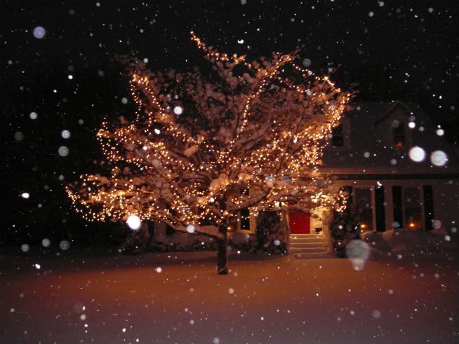 Picture004.jpg