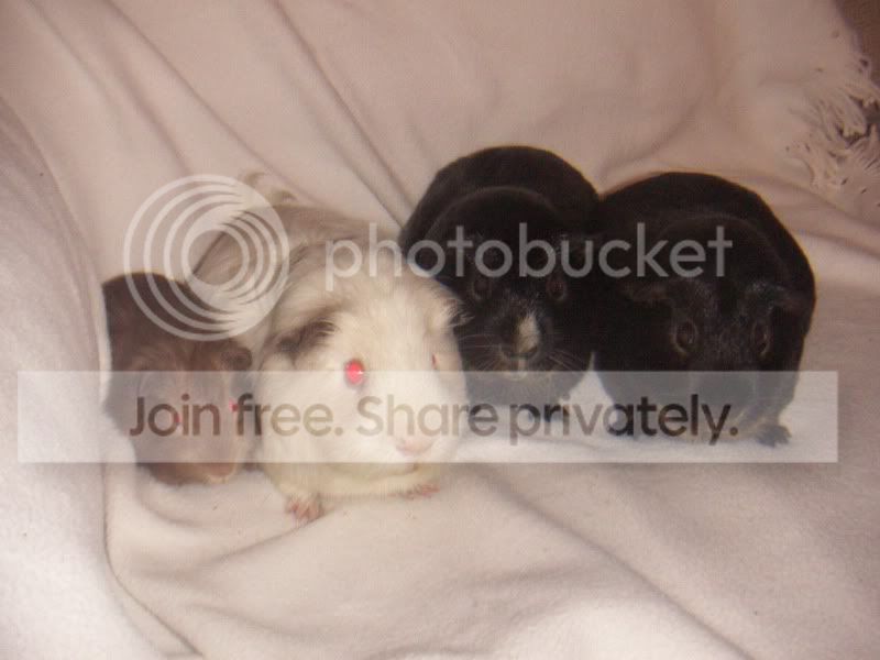 PICT0276.jpg